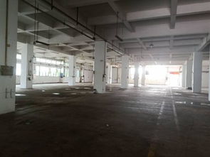 全新五层厂房招租 优越位置，灵活空间，助您事业腾飞